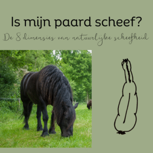 IS MIJN PAARD SCHEEF? - plus checklist en audio