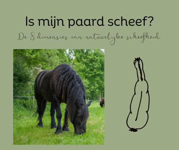 IS MIJN PAARD SCHEEF? - plus checklist en audio