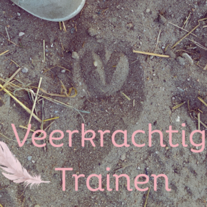 Veerkrachtig Trainen - 3 maanden