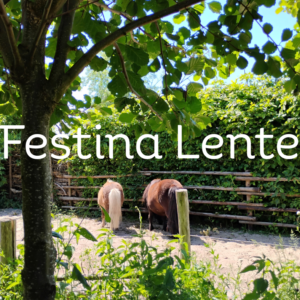 Festina Lente