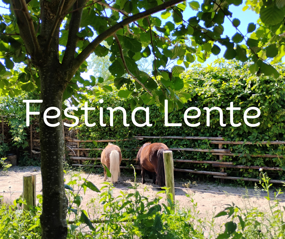 Festina Lente