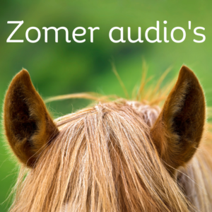 Zomeraudio's
