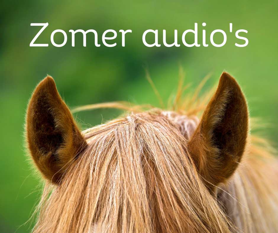 Zomeraudio's